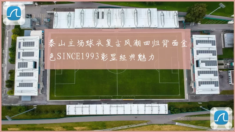 泰山主场球衣复古风潮回归背面金色SINCE1993彰显经典魅力