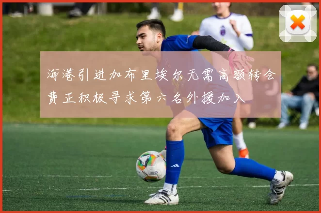 海港引进加布里埃尔无需高额转会费正积极寻求第六名外援加入